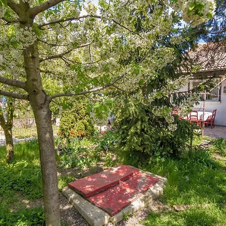 Апартаменты Old House