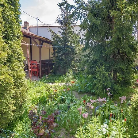 Old House Appartement Vama Veche