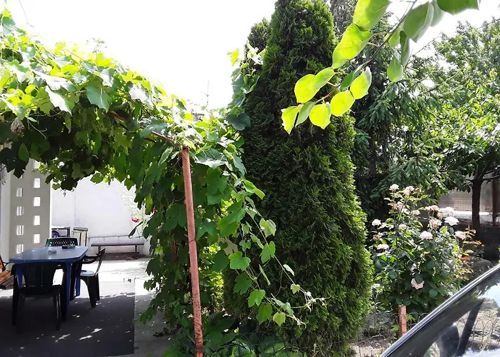 Old House Vama Veche